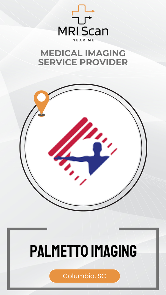 Palmetto Imaging logo with a person icon and location marker on a white background